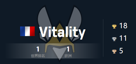 vitality战队cogo队伍详细介绍