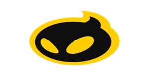 lolDIG战队成员名单2021
