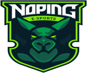 dota2NoPing战队成员最新名单2021
