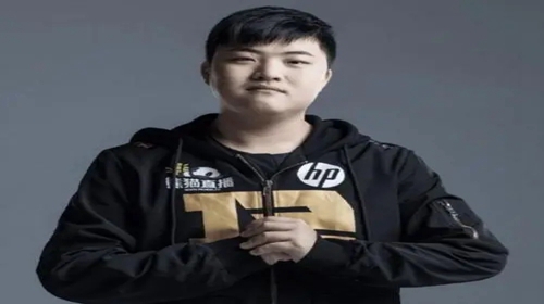 英雄联盟无畏澡八强意思介绍