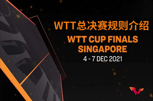 WTT新加坡世界杯总决赛规则是什么