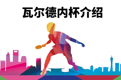 瓦尔德内尔杯是什么