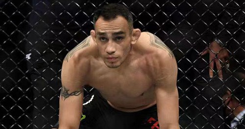 ufc夜魔为什么人气不高
