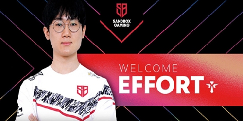effort个人资料