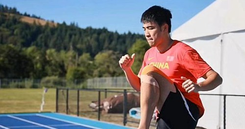 男子110米跨栏有几个栏杆