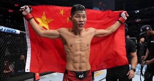ufc格斗之夜在哪个软件看