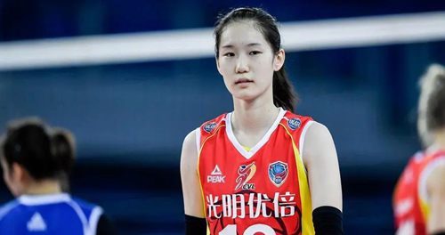 许晓婷女排个人资料