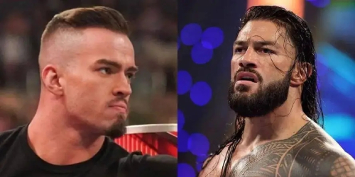 wwe是什么意思