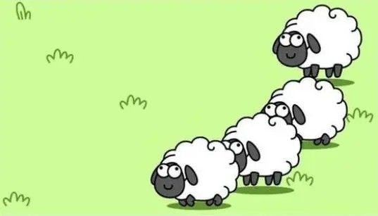 羊了个羊进不去了解决方法