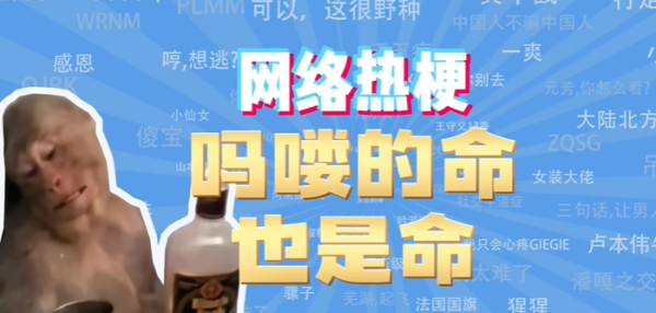 吗喽的命也是命是什么意思网络用语