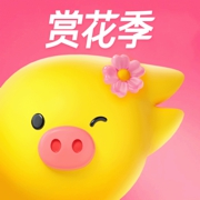 飞猪旅行最新版