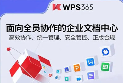 wps365是什么版本