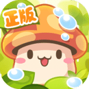 冒险岛枫之传说最新版本