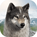 狼族崛起最新版