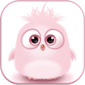 桌面萌宠软件安卓版