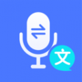 录音文字转换专家