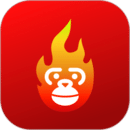 大师兄音乐正版