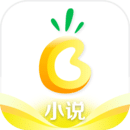 菠萝小说书源