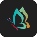 秀秀壁纸小助手