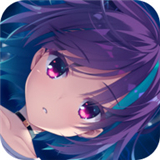 帕奎特最新版