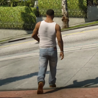 黑色组织城市2024最新版本