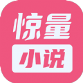 惊量小说最新版