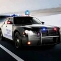 警车自由驾驶模拟器