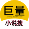巨量小说搜