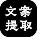 文案提取