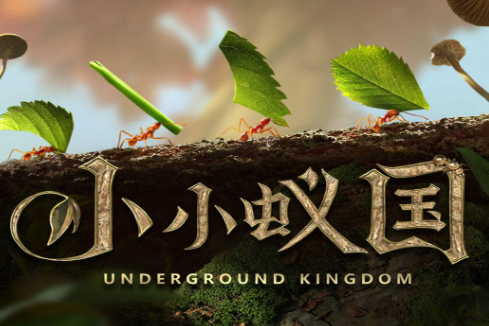 小小蚁国萌新应该优先升级什么