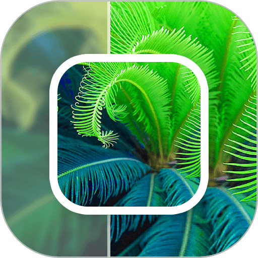 模糊照片修复最新版