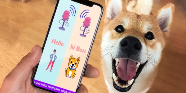 翻译宠物行为的软件大全