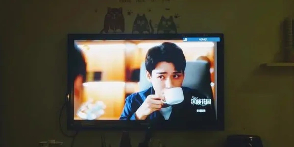 必备高分追剧