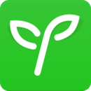 沪江网校安卓版