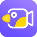 特效视频安卓版