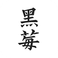 黑莓小说安卓版