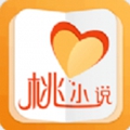 桃小说安卓版