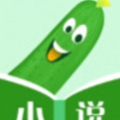 丝瓜小说安卓版