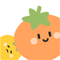 番茄上岸安卓版
