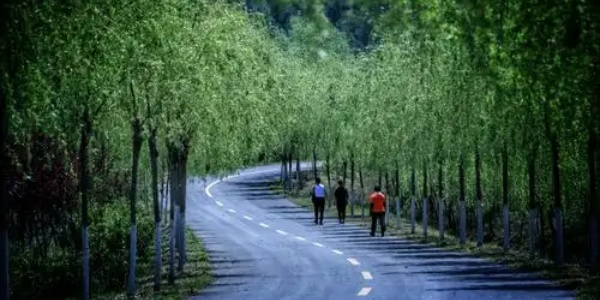 冷门逆天必备神器