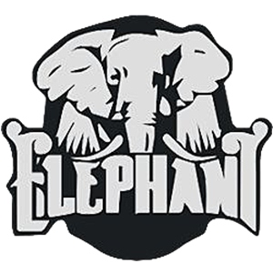 dota2elephant战队成员最新名单2021