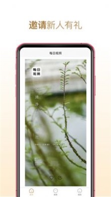 每日观照app