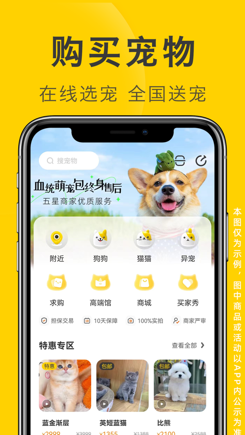 买只宠物最新版