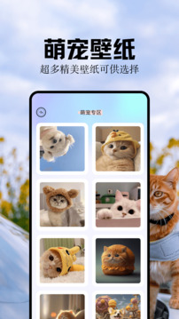 魔秀桌面壁纸APP