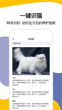 猫语翻译最新版