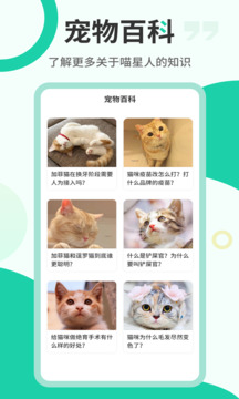 猫语翻译机最新版