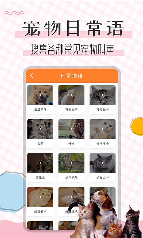 猫语翻译宝最新版