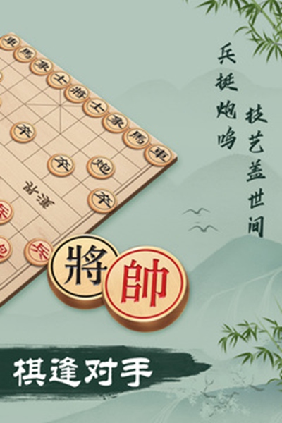 像棋的象棋