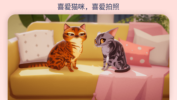 我的猫咪俱乐部中文版