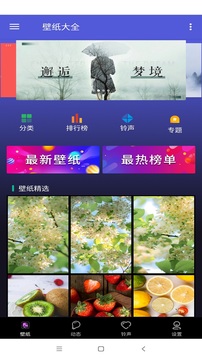 壁纸大全app